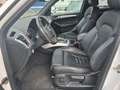 Audi Q5 2.0 TDI  quattro S-LINE AUTOMATIK Weiß - thumbnail 7