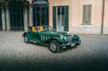 Panther Westwinds Kallista - thumbnail 3