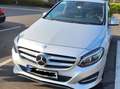 Mercedes-Benz B 250 B 250 4Matic 7G-DCT Score Argent - thumbnail 5