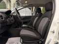 Fiat Punto 1,2 69 Nuova Collezione/1.BESITZ/KLIMA/RADIO/AL... Weiß - thumbnail 18