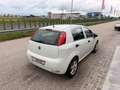 Fiat Punto 1,2 69 Nuova Collezione/1.BESITZ/KLIMA/RADIO/AL... Weiß - thumbnail 8