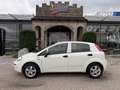 Fiat Punto 1,2 69 Nuova Collezione/1.BESITZ/KLIMA/RADIO/AL... Weiß - thumbnail 5