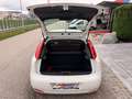 Fiat Punto 1,2 69 Nuova Collezione/1.BESITZ/KLIMA/RADIO/AL... Weiß - thumbnail 16