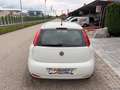 Fiat Punto 1,2 69 Nuova Collezione/1.BESITZ/KLIMA/RADIO/AL... Weiß - thumbnail 7