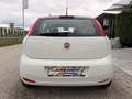 Fiat Punto 1,2 69 Nuova Collezione/1.BESITZ/KLIMA/RADIO/AL... Weiß - thumbnail 14