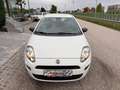 Fiat Punto 1,2 69 Nuova Collezione/1.BESITZ/KLIMA/RADIO/AL... Weiß - thumbnail 3