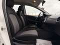 Fiat Punto 1,2 69 Nuova Collezione/1.BESITZ/KLIMA/RADIO/AL... Weiß - thumbnail 20