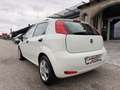 Fiat Punto 1,2 69 Nuova Collezione/1.BESITZ/KLIMA/RADIO/AL... Weiß - thumbnail 15
