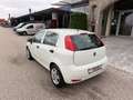 Fiat Punto 1,2 69 Nuova Collezione/1.BESITZ/KLIMA/RADIO/AL... Weiß - thumbnail 6