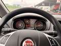 Fiat Punto 1,2 69 Nuova Collezione/1.BESITZ/KLIMA/RADIO/AL... Weiß - thumbnail 32