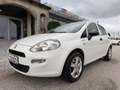 Fiat Punto 1,2 69 Nuova Collezione/1.BESITZ/KLIMA/RADIO/AL... Weiß - thumbnail 11