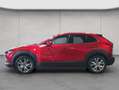 Mazda CX-30 e-SKYACTIV-G 2.0 M HYBRID 150 DRIVE SELECTIO Rood - thumbnail 2