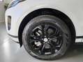 Land Rover Range Rover Evoque Range Rover Evoque 2.0D I4-L.Flw 150 CV AWD Auto S Blanco - thumbnail 12