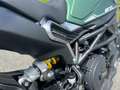 Benelli Leoncino Leoncino 800 - thumbnail 6