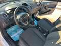 Ford Fiesta 1.5 TDCi 75 CV 5p. Titanium - thumbnail 14