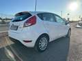 Ford Fiesta 1.5 TDCi 75 CV 5p. Titanium - thumbnail 3