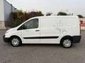 Fiat Scudo 2.0*Carrier Xarios 350*Klima*6-Gang*Tempom Blanco - thumbnail 2