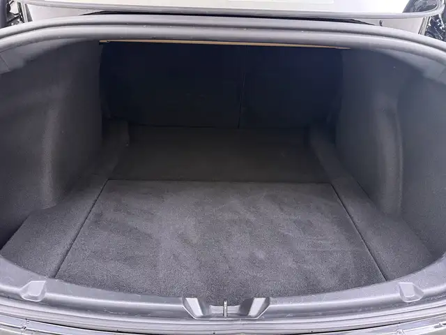 Tesla Model 3 view 21