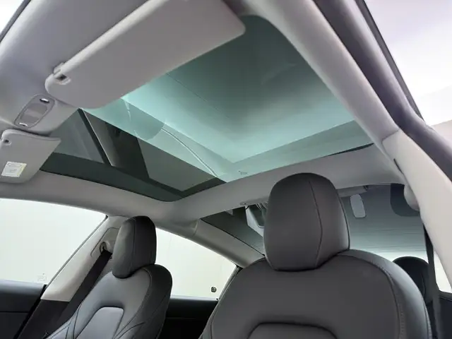 Tesla Model 3 view 9