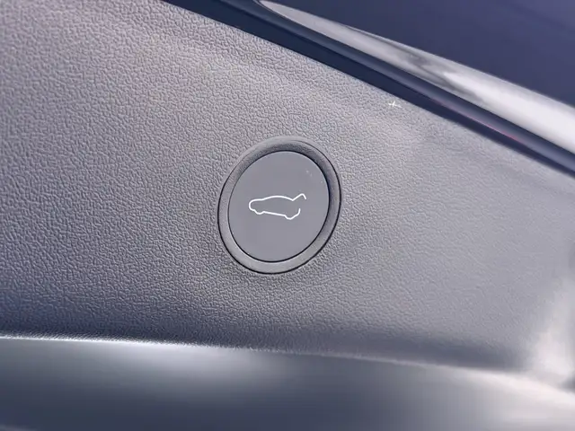 Tesla Model 3 view 22