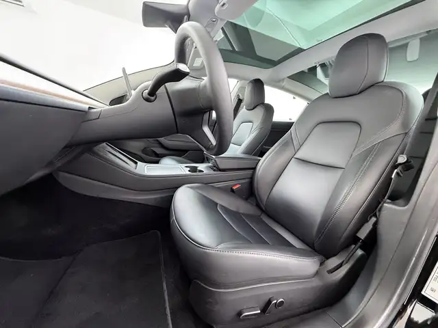 Tesla Model 3 view 11