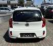 Kia Picanto 1,0 MPI Titan Weiß - thumbnail 3