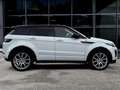 Land Rover Range Rover Evoque Range Rover Evoque 5p 2.0 td4 HSE Dynamic 150cv auto - thumbnail 8