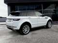 Land Rover Range Rover Evoque Range Rover Evoque 5p 2.0 td4 HSE Dynamic 150cv auto - thumbnail 4