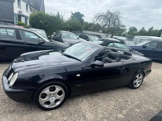 Mercedes-Benz CLK 320 CLK Cabrio Elegance  Aut. / Klima / Leder / Tempomat / ESP