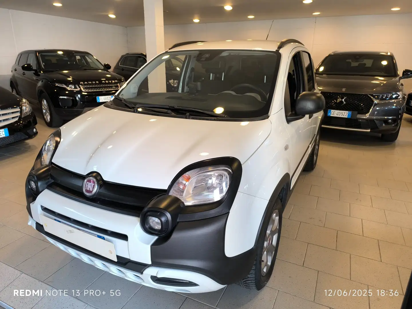 Fiat Panda Panda 1.2 City Cross s Bianco - 2