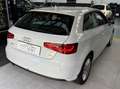 Audi A3 A3 1.6 tdi ultra Attraction E6 Blanc - thumbnail 16