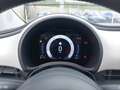Fiat 500 Hybrid Cabrio La Prima Grün - thumbnail 15