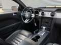 Ford Mustang USA Shelby 4.6 V8 GT-H Hertz Negro - thumbnail 17