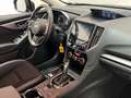 Subaru Impreza Trend Allrad MildHybrid Automatik,LED Gris - thumbnail 11