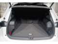 Volkswagen Tiguan R-Line 1.5 eTSI OPF Black Style ACC AHK KAM Weiß - thumbnail 11