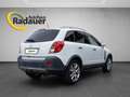 Opel Antara 2,2 CDTI Cosmo DPF Aut. Weiß - thumbnail 5