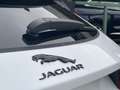 Jaguar E-Pace P300e 309pk AWD R-Dynamic SE | 5 jaar garantie | 0 Wit - thumbnail 28