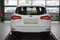 Ford Focus 1.0 EcoBoost Cool&Connect S/S Navi Wit - thumbnail 5