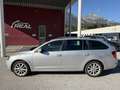 Skoda Octavia 1.6 TDI DPF Ambition 4x4 Green tec Silber - thumbnail 3