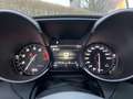 Alfa Romeo Giulia GTAm *500 Stk. Weltweit* *Neuwagen!!* Groen - thumbnail 13