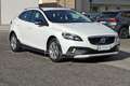 Volvo V40 Cross Country D2 Kinetic UNIPROP NEOPATENTATI KM CERTIFICATI Blanc - thumbnail 3