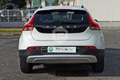 Volvo V40 Cross Country D2 Kinetic UNIPROP NEOPATENTATI KM CERTIFICATI Blanc - thumbnail 6
