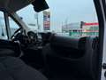 Fiat Ducato L4H3 KW 35 MAXI *Preis inkl. NoVA* (=CAMPER-Basis) Weiß - thumbnail 17