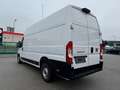 Fiat Ducato L4H3 KW 35 MAXI *Preis inkl. NoVA* (=CAMPER-Basis) Weiß - thumbnail 3