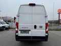 Fiat Ducato L4H3 KW 35 MAXI *Preis inkl. NoVA* (=CAMPER-Basis) Weiß - thumbnail 4