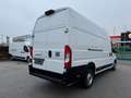 Fiat Ducato L4H3 KW 35 MAXI *Preis inkl. NoVA* (=CAMPER-Basis) Weiß - thumbnail 7