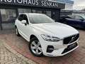 Volvo XC60 2WD Momentum Pro*R-CAM*LED* Weiß - thumbnail 9