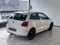 Volkswagen Polo Comfortline 1.6 TDI *Klima*TÜV*Tempomat*2Hand* Weiß - thumbnail 5