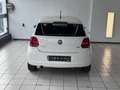 Volkswagen Polo Comfortline 1.6 TDI *Klima*TÜV*Tempomat*2Hand* Weiß - thumbnail 6