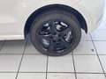 Volkswagen Polo Comfortline 1.6 TDI *Klima*TÜV*Tempomat*2Hand* Weiß - thumbnail 8